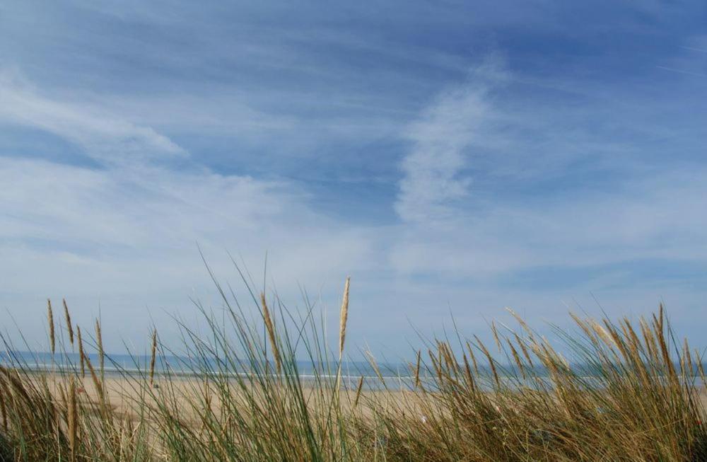 Villa Oyster Cove Croyde Exterior foto